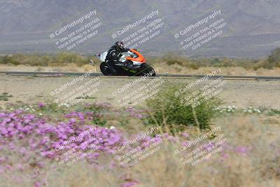 media/Feb-04-2023-SoCal Trackdays (Sat) [[8a776bf2c3]]/Turn 15 Inside Blooming (1050am)/